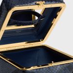 CELINE SMALL TRIOMPHE FRAME IN PYTHON - Image 2