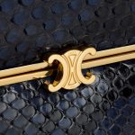 CELINE SMALL TRIOMPHE FRAME IN PYTHON - Image 3