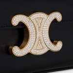 CHAIN SHOULDER BAG CLAUDE WITH STRASS CLOSURE IN SHINY CALFSKIN - Image 5