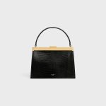 CELINE Small Celine Augustine IN Lizard