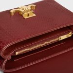 CELINE TEEN NINO BAG IN Python - Image 2
