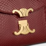 CELINE TEEN NINO BAG IN Python - Image 3