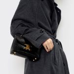 CELINE TEEN NINO BAG IN Lizard - Image 6