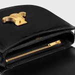 CELINE BESACE CLEA in Lizard - Image 2