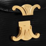 CELINE BESACE CLEA in Lizard - Image 3