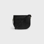 CELINE BESACE CLEA in Lizard - Image 5