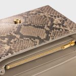 CELINE Medium Celine Victoire Bag IN pearly python - Image 2