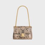 CELINE Medium Celine Victoire Bag IN pearly python - Image 3