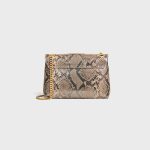 CELINE Medium Celine Victoire Bag IN pearly python - Image 4