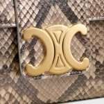 CELINE Medium Celine Victoire Bag IN pearly python - Image 6