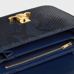 CELINE CLASSIQUE TRIOMPHE BAG IN PYTHON - Image 4