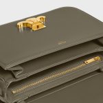 CELINE CLASSIQUE TRIOMPHE BAG IN shiny calfskin - Image 4