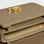 CLASSIQUE TRIOMPHE BAG IN SHINY CALFSKIN BROWN SEPIA - Image 4