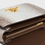 CLASSIQUE TRIOMPHE BAG in Niloticus Crocodile - Image 3