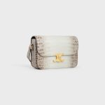 CLASSIQUE TRIOMPHE BAG in Niloticus Crocodile - Image 5