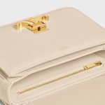CELINE TEEN TRIOMPHE BAG IN shiny calfskin - Image 2