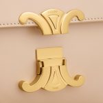 TEEN TRIOMPHE BAG IN SHINY CALFSKIN - Image 5