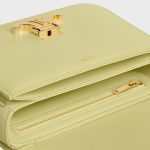 CELINE TEEN TRIOMPHE BAG IN shiny calfskin - Image 5