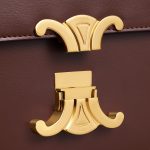 CELINE TEEN TRIOMPHE BAG IN shiny calfskin - Image 3