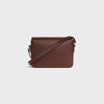 CELINE TEEN TRIOMPHE BAG IN shiny calfskin - Image 5