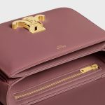 TEEN TRIOMPHE BAG IN SHINY CALFSKIN - Image 4