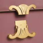 TEEN TRIOMPHE BAG IN SHINY CALFSKIN - Image 5