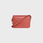 TEEN TRIOMPHE BAG IN SHINY CALFSKIN RED CANYON - Image 3