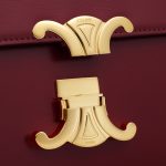 CELINE TEEN TRIOMPHE BAG IN shiny calfskin - Image 2