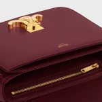 CELINE TEEN TRIOMPHE BAG IN shiny calfskin - Image 4