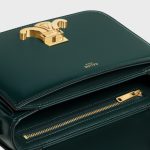 TEEN TRIOMPHE BAG IN SHINY CALFSKIN AMAZONE - Image 4