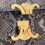 CELINE TEEN TRIOMPHE BAG IN Python patchwork - Image 2