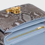 CELINE TEEN TRIOMPHE BAG IN Python patchwork - Image 5