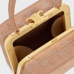 CELINE LANA MINAUDIERE in SUEDE CALFSKIN WITH TRIOMPHE STRASS - Image 4
